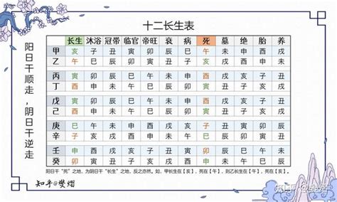 12長生表|十二长生（古代的一种运势统称）